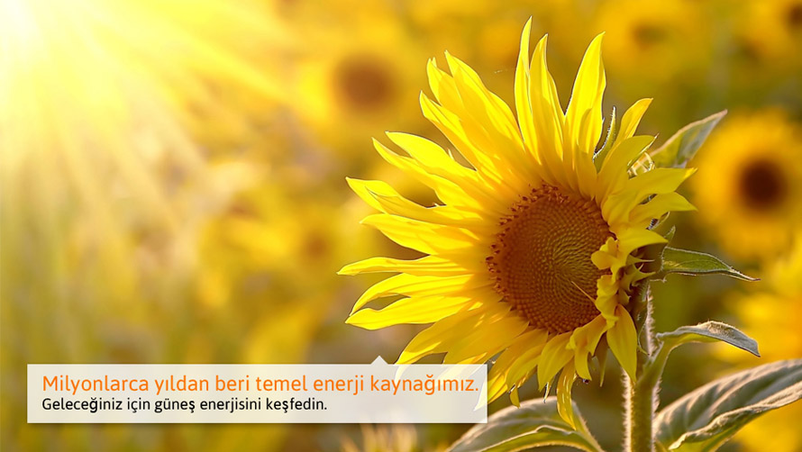 Milyonlarca yıldan beri temel enerji kaynağımız. Geleceğiniz için güneş enerjisini keşfedin. (Güneş Enerjisi).